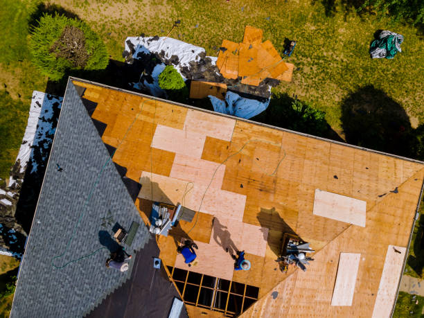 Best Roof Gutter Cleaning  in Taylor, MI